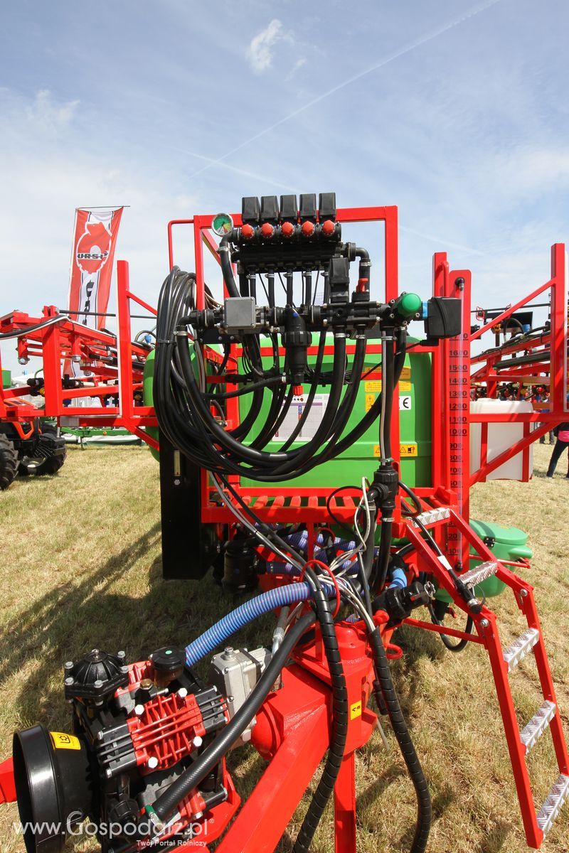 Zielone AGRO SHOW - Polskie Zboża 2015 w Sielinku
