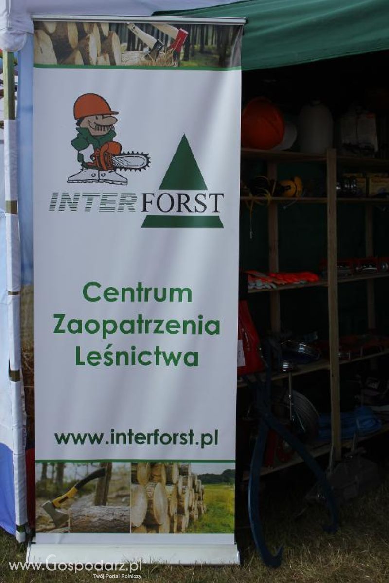 Inter Forst na Opolagrze 2013