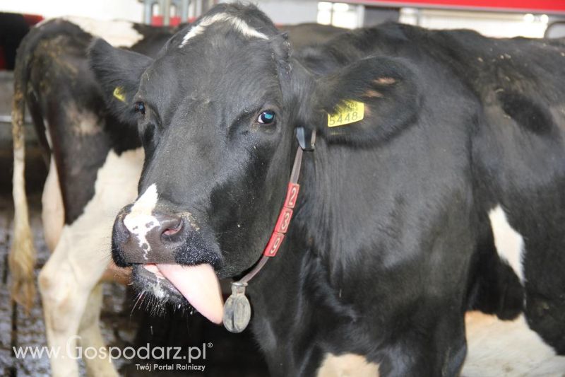 Dni Otwarte w GR Hendripol sp. z o.o.