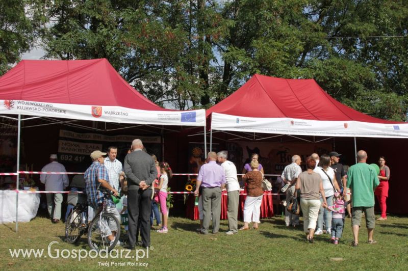 II Festiwal Wieprzowiny w Wąbrzeźnie