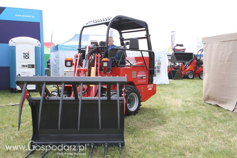 Damian na OPOLAGRZE 2016