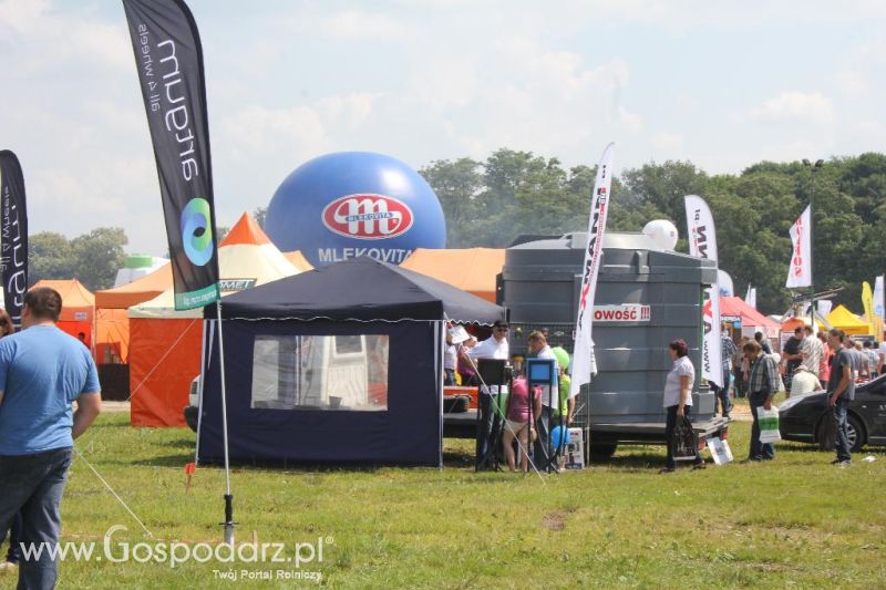 Axmann - Szepietowo 2013