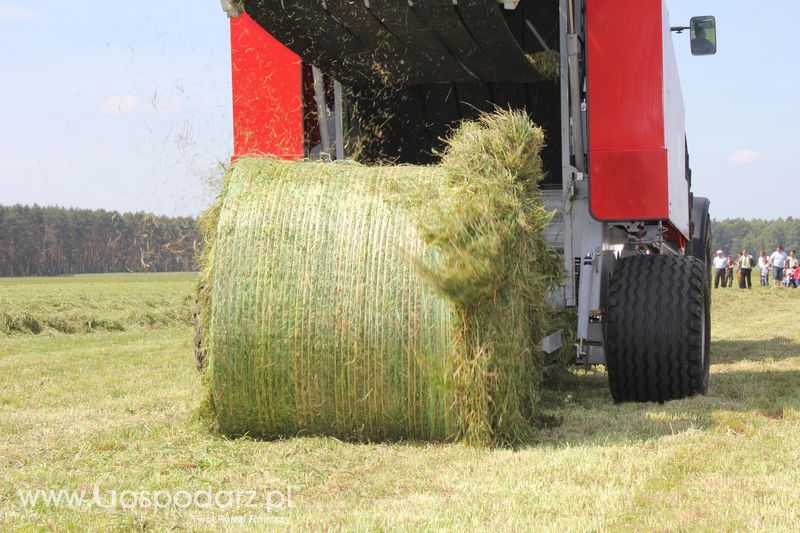 Zielone Agro Show pokaz maszyn rolniczych