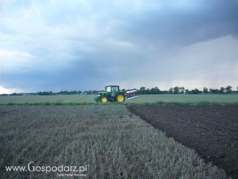 Żniwa 2011