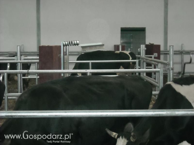 Dzień pracy rolnika-wizyta MrZgredy u MafiaOgiegooo