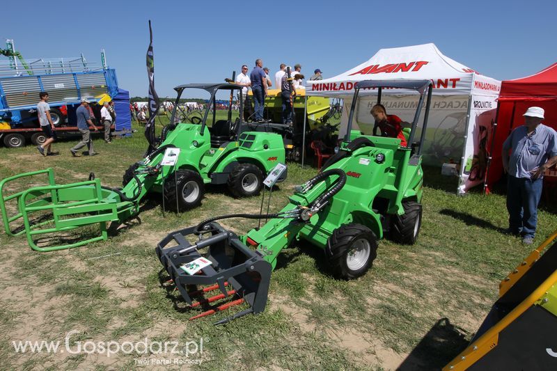 AVANT na ZIELONE AGRO SHOW 2016