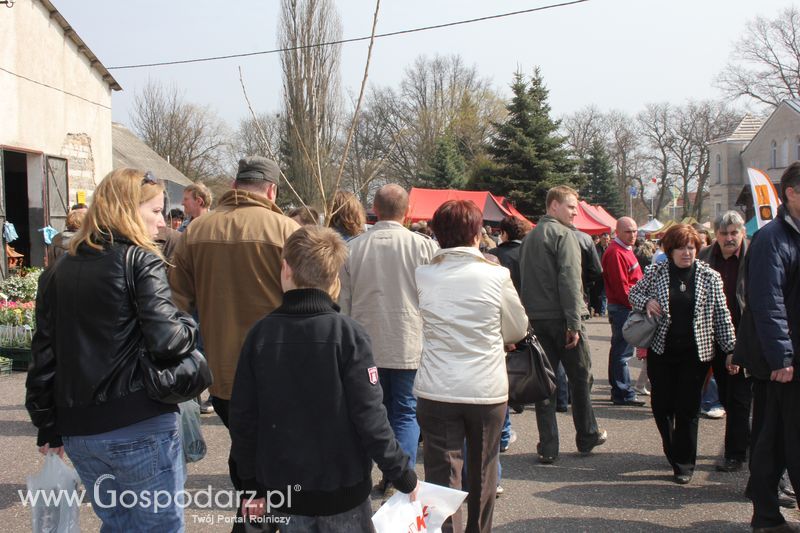XX Agro-Targi 2011 w Starej Łubiance