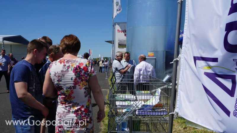 ZIELONE AGRO SHOW 2017 w Ułężu (niedziela, 28 maja)