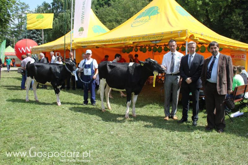 Regionalna Wystawa Zwierząt Hodowlanych i Dni z Doradztwem Rolniczym w Szepietowie-sobota