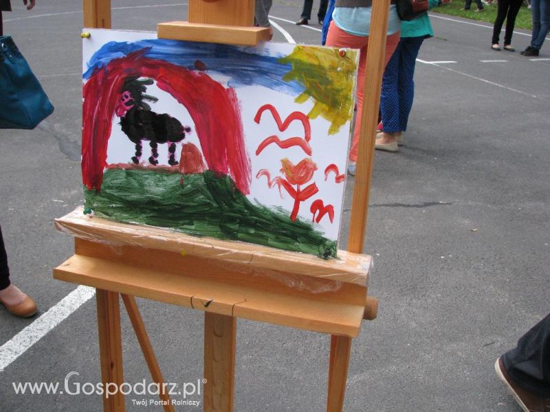 Festiwal Wieprzowiny w Koźminie Wielkopolskim 2013