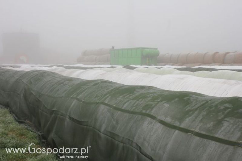 Wyjazd studyjny na farmę w Hohenhameln (Niemcy)
