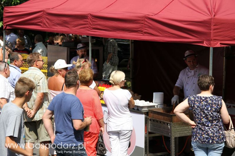 Festiwal Wieprzowiny w Koźminie  Wielkopolskim