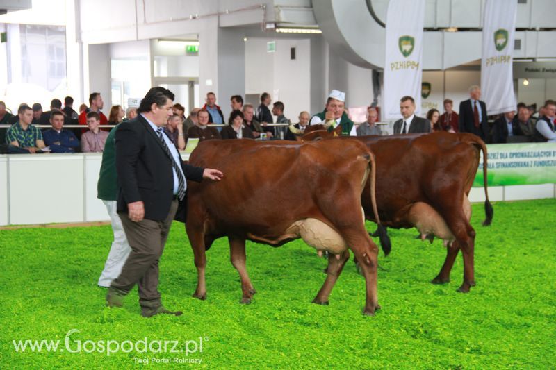 KWZH 2015 piątek