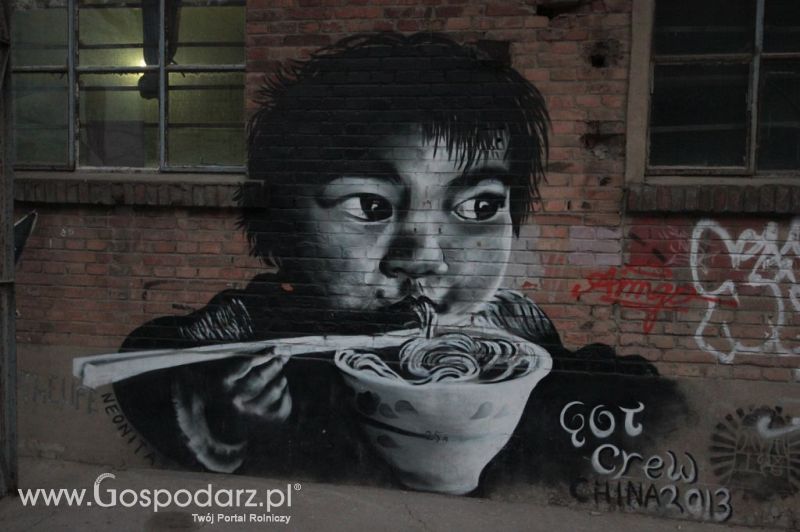 Gospodarz.pl w Chinach