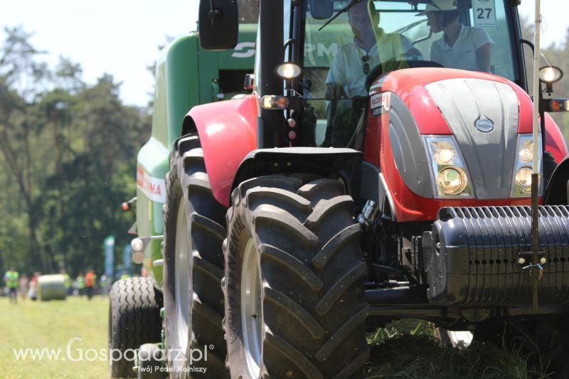 Zielone AGRO SHOW – POLSKIE ZBOŻA 2014 w Sielinku - sobota