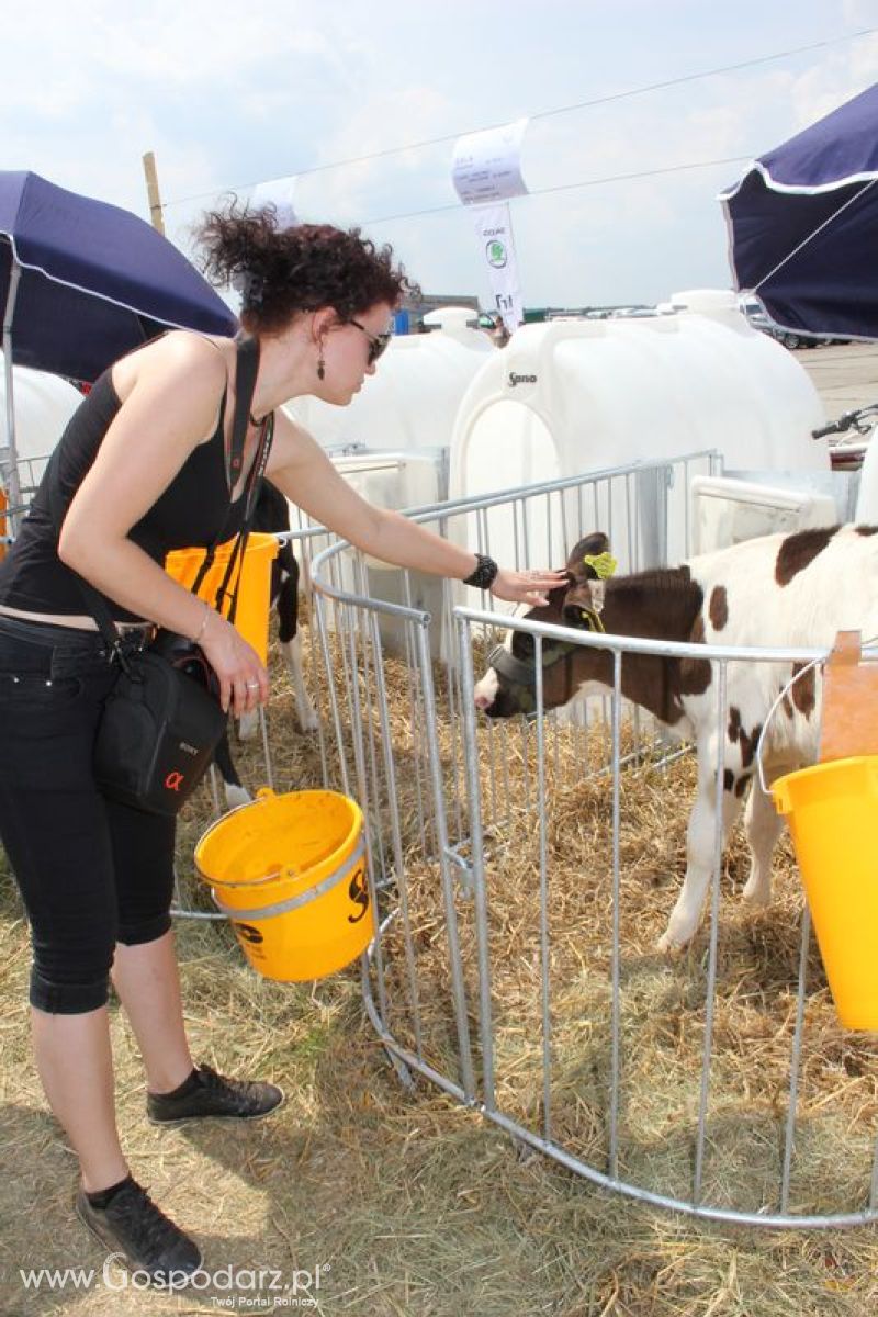 Wystawa Bydła: Konkurs Młodego Hodowcy - Opolagra 2011