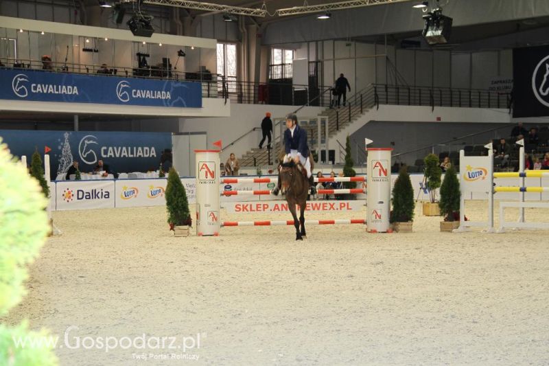 CAVALIADA 2013 w Poznaniu