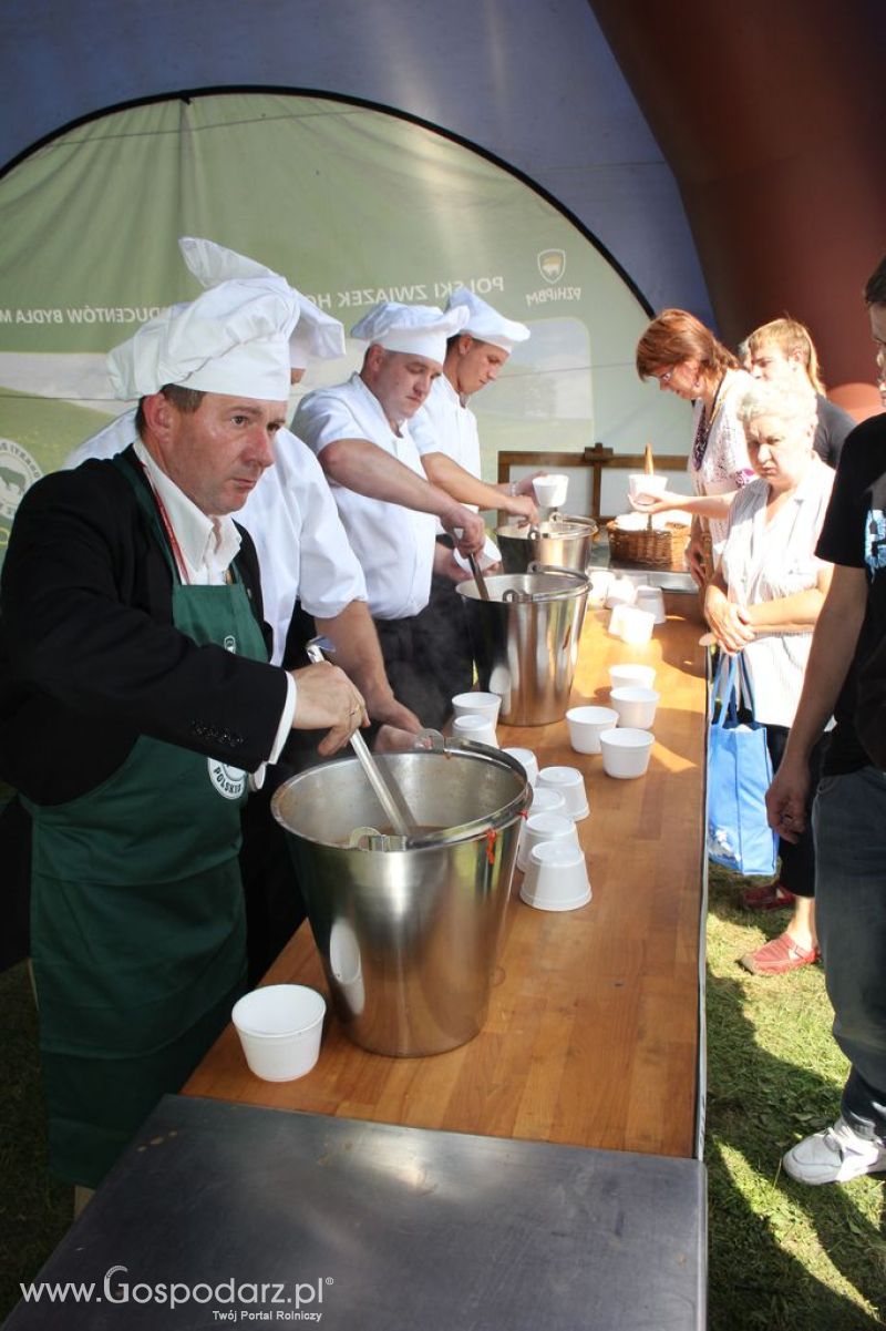 Świętomięs Polski w Chorzowie