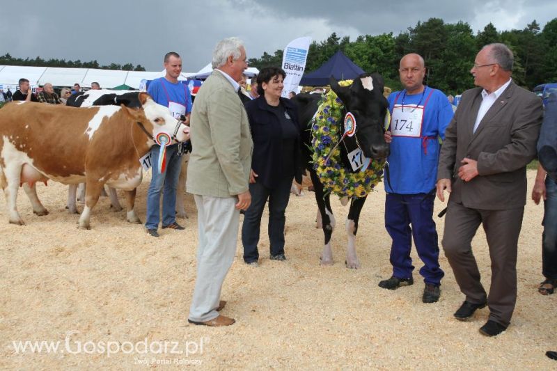 Opolagra 2014 cz.2