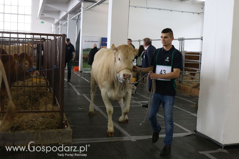 Krajowa Wystawa Zwierząt Hodowlanych w Poznaniu 2017 (piątek, 5 maja)