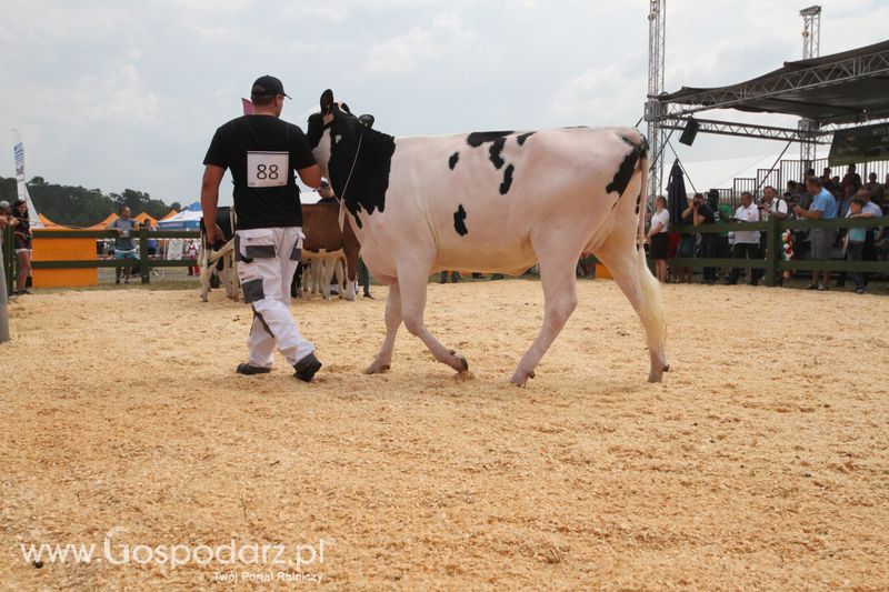 Targi Opolagra 2018