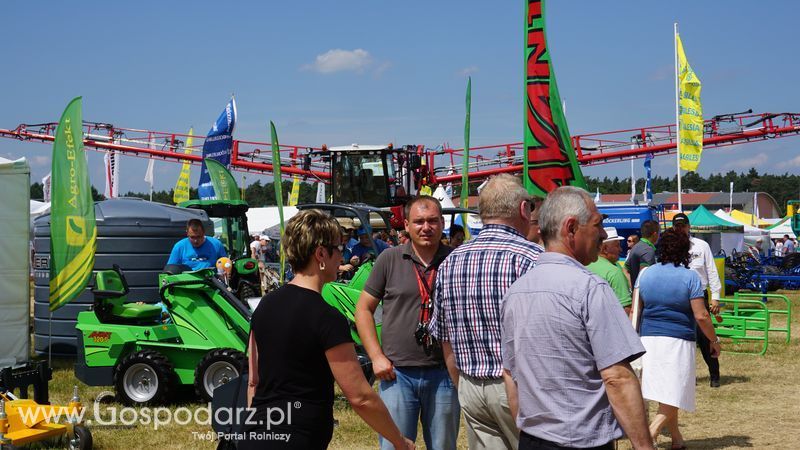 OPOLAGRA 2015 w Kamieniu Śląskim
