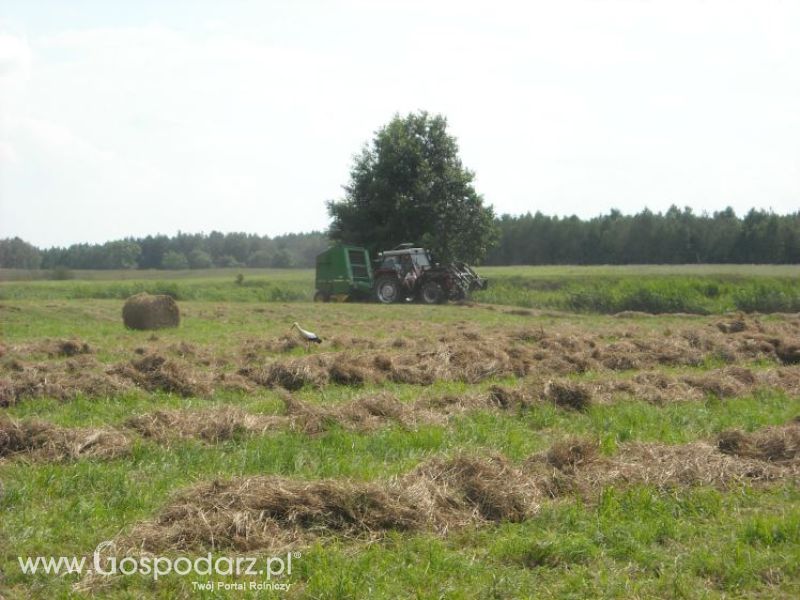 zbieranie siana 2012 ursusem c330m i 1014 de luxe