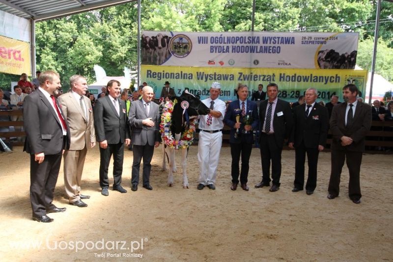 VIII Ogólnopolska Wystawa Bydła Hodowlanego, XXI Regionalna Wystawa Zwierząt Hodowlanych i Dni z Doradztwem Rolniczym w Szepietowie