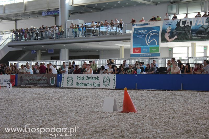 XXV Krajowa Wystawa Zwierząt Hodowlanych Niedziela