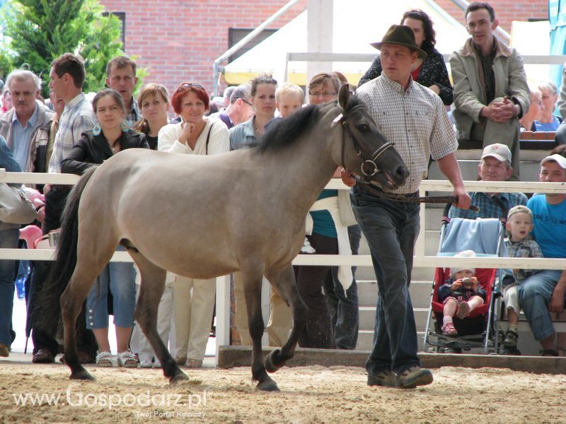 Wystawa Koni Sielinko 2011