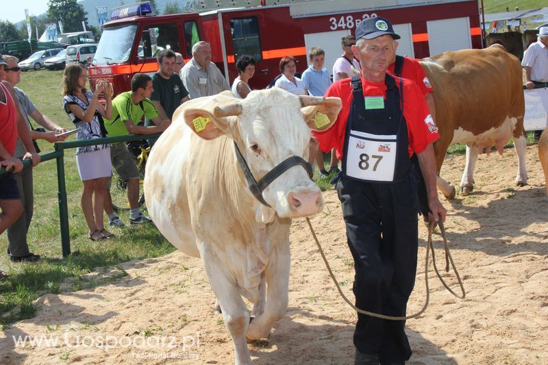 Pożegnanie Wakacji w Rudawce Rymanowskiej