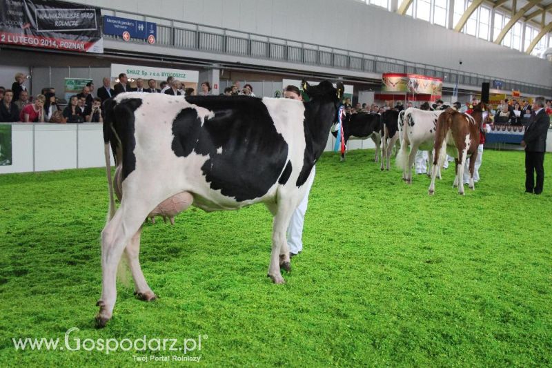 XXVI Krajowa Wystawa Zwierząt Hodowlanych - sobota i niedziela