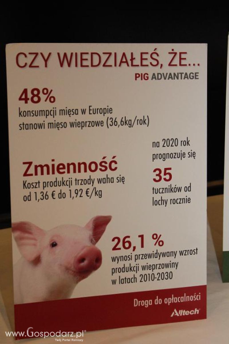 Stay Curious Europejska Trasa Wykładowa Alltech w Poznaniu