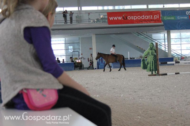 XXVI Krajowa Wystawa Zwierząt Hodowlanych - sobota i niedziela