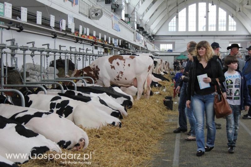 XXVI Krajowa Wystawa Zwierząt Hodowlanych - sobota i niedziela