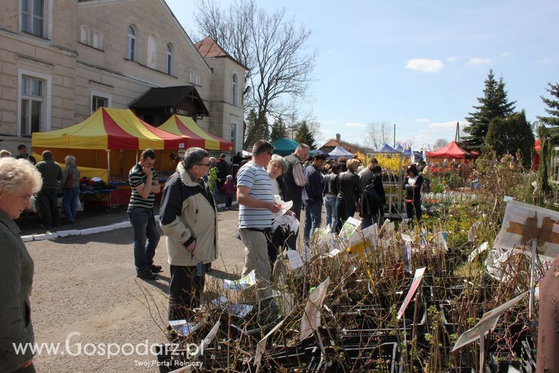 XX Agro-Targi 2011 w Starej Łubiance