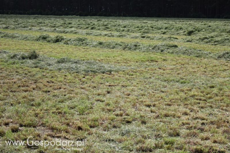 Pokazy maszyn Polskie Zboża Zielone Agro Show 2012