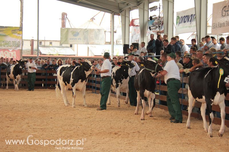 Wręczenie nagród na XVIII Regionalnej Wystawie Zwierząt Hodowlanych w Szepietowie