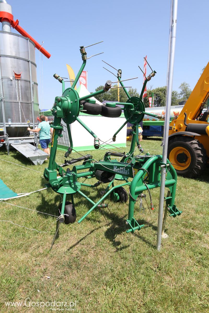  Regionalna Wystawa Zwierząt Hodowlanych W Szepietowie 2016 z Gospodarz.pl
