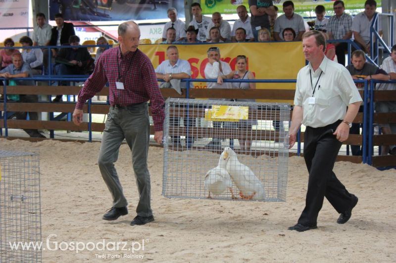 Drób - Szepietowo 2012 XIX Regionalna Wystawa Zwierząt Hodowlanych