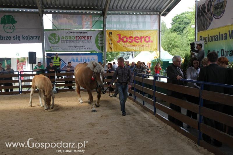 VIII Ogólnopolska Wystawa Bydła Hodowlanego, XXI Regionalna Wystawa Zwierząt Hodowlanych i Dni z Doradztwem Rolniczym w Szepietowie