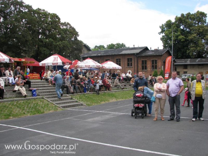 Festiwal Wieprzowiny w Koźminie Wielkopolskim 2013