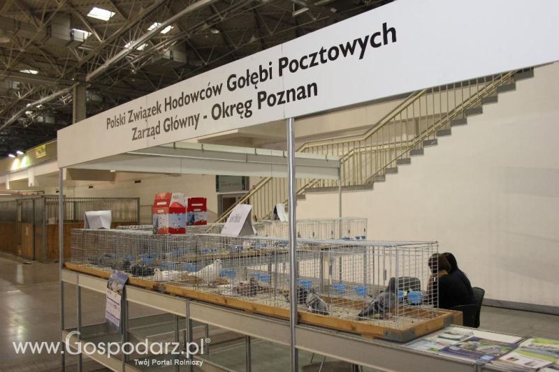 XXVI Krajowa Wystawa Zwierząt Hodowlanych - piątek