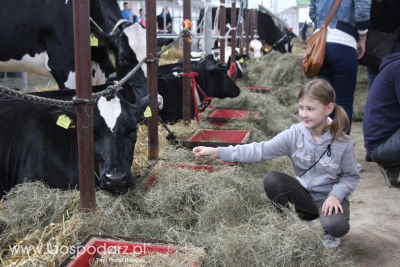 XXVI Krajowa Wystawa Zwierząt Hodowlanych - sobota i niedziela
