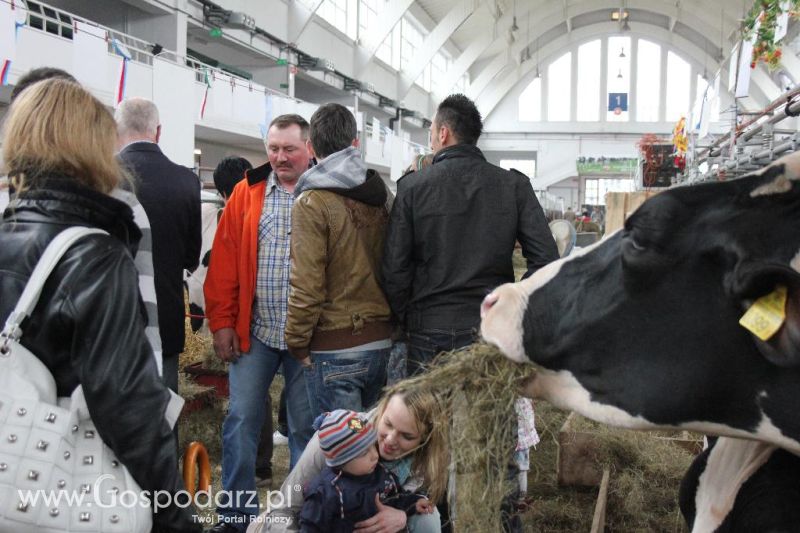 XXVI Krajowa Wystawa Zwierząt Hodowlanych - sobota i niedziela