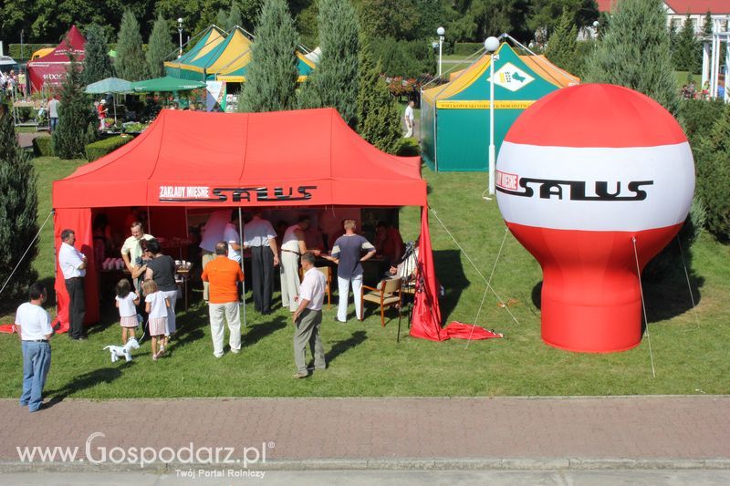 Ogólnopolski Festiwal Wieprzowiny w Sielinku