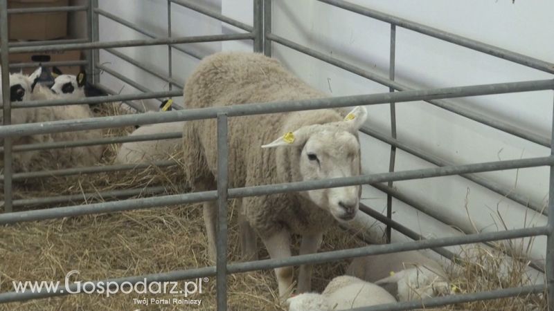 TECHAGRO 2012 Brno/Czechy