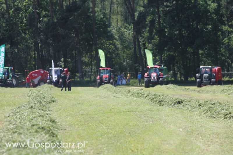 Zielone AGRO SHOW – POLSKIE ZBOŻA 2014 w Sielinku - sobota