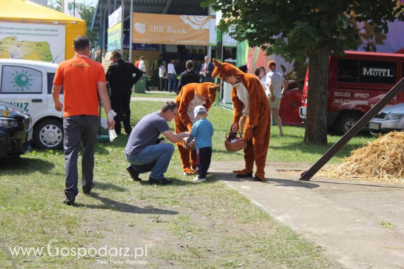 Regionalna Wystawa Zwierząt Hodowlanych i Dni z Doradztwem Rolniczym w Szepietowie-sobota