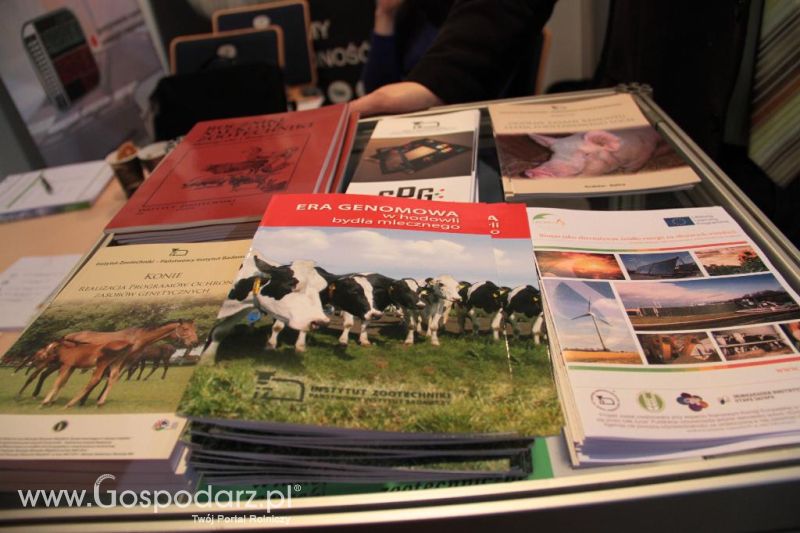 Targi FERMA 2014 - piątek